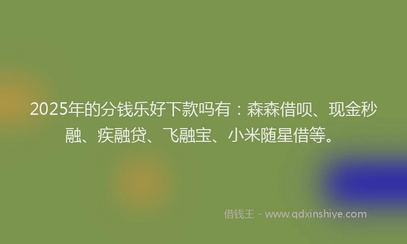 2025年的分钱乐好下款吗有：森森借呗、现金秒融、疾融贷、飞融宝、小米随星借等。