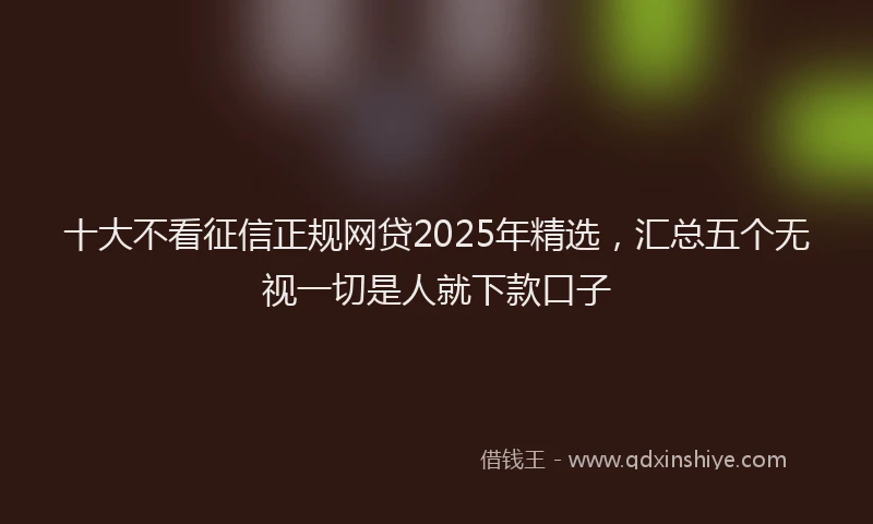 十大不看征信正规网贷2025年精选，汇总五个无视一切是人就下款口子