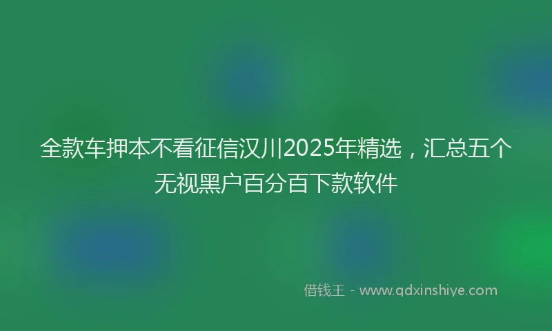全款车押本不看征信汉川2025年精选，汇总五个无视黑户百分百下款软件