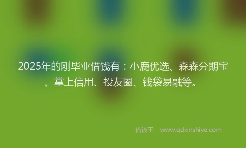2025年的刚毕业借钱有：小鹿优选、森森分期宝、掌上信用、投友圈、钱袋易融等。