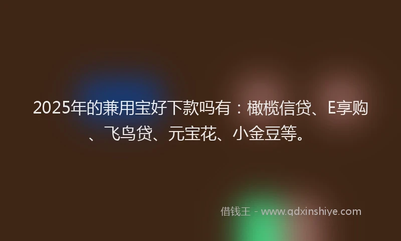 2025年的兼用宝好下款吗有：橄榄信贷、E享购、飞鸟贷、元宝花、小金豆等。