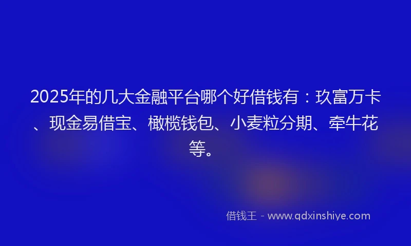 2025年的几大金融平台哪个好借钱有：玖富万卡、现金易借宝、橄榄钱包、小麦粒分期、牵牛花等。