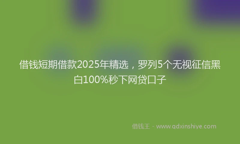 借钱短期借款2025年精选，罗列5个无视征信黑白100%秒下网贷口子