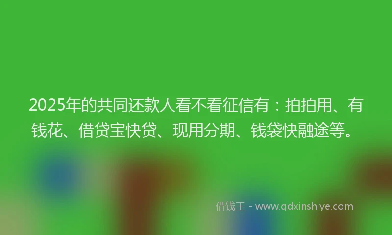 2025年的共同还款人看不看征信有：拍拍用、有钱花、借贷宝快贷、现用分期、钱袋快融途等。