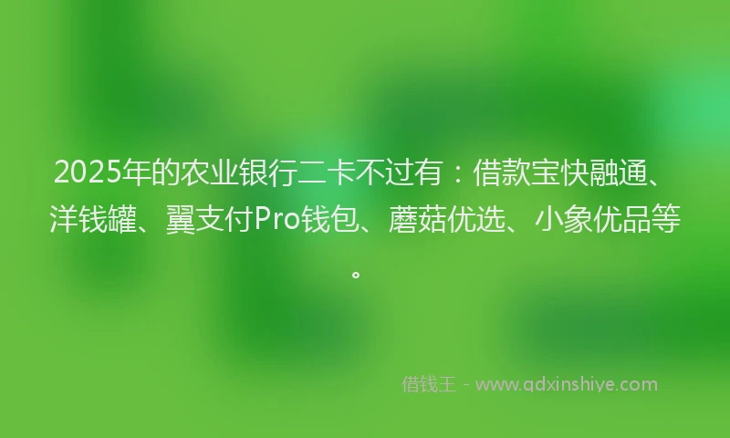 2025年的农业银行二卡不过有：借款宝快融通、洋钱罐、翼支付Pro钱包、蘑菇优选、小象优品等。