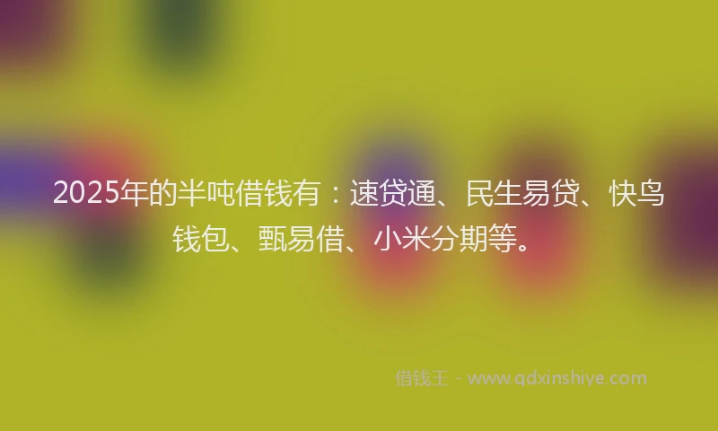 2025年的半吨借钱有：速贷通、民生易贷、快鸟钱包、甄易借、小米分期等。