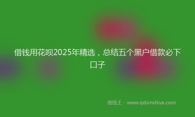 借钱用花呗2025年精选，总结五个黑户借款必下口子