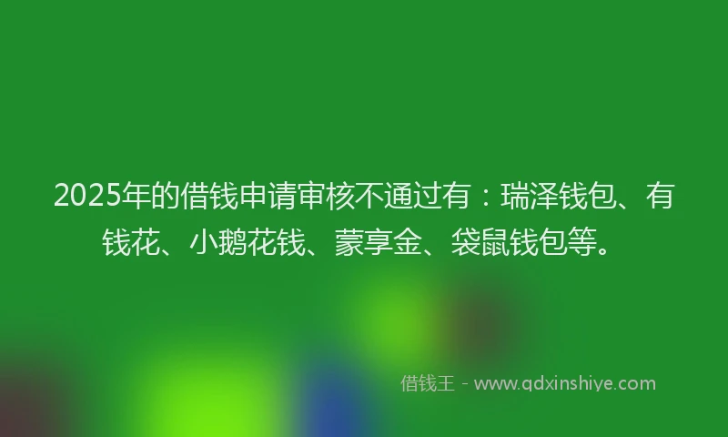 2025年的借钱申请审核不通过有：瑞泽钱包、有钱花、小鹅花钱、蒙享金、袋鼠钱包等。