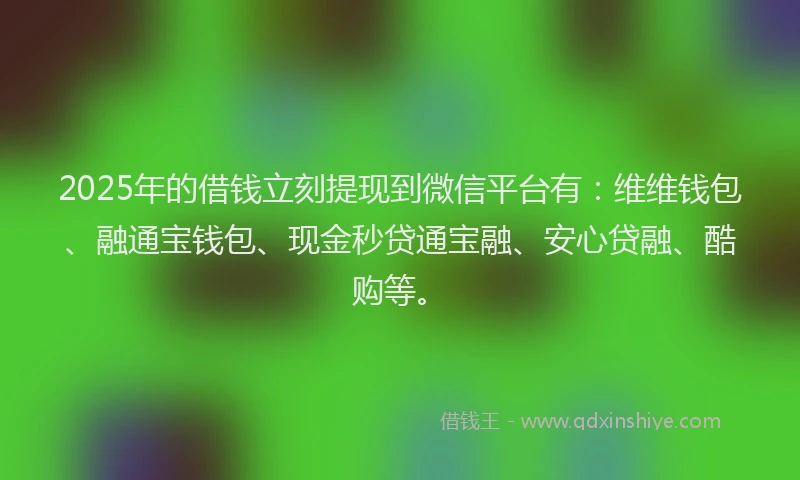 2025年的借钱立刻提现到微信平台有：维维钱包、融通宝钱包、现金秒贷通宝融、安心贷融、酷购等。