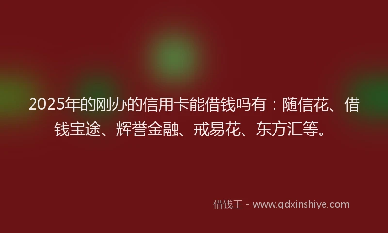 2025年的刚办的信用卡能借钱吗有：随信花、借钱宝途、辉誉金融、戒易花、东方汇等。