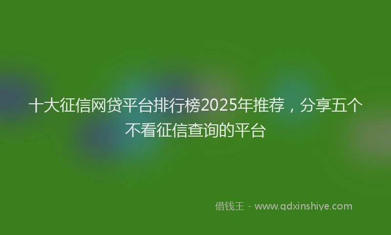 十大征信网贷平台排行榜2025年推荐，分享五个不看征信查询的平台