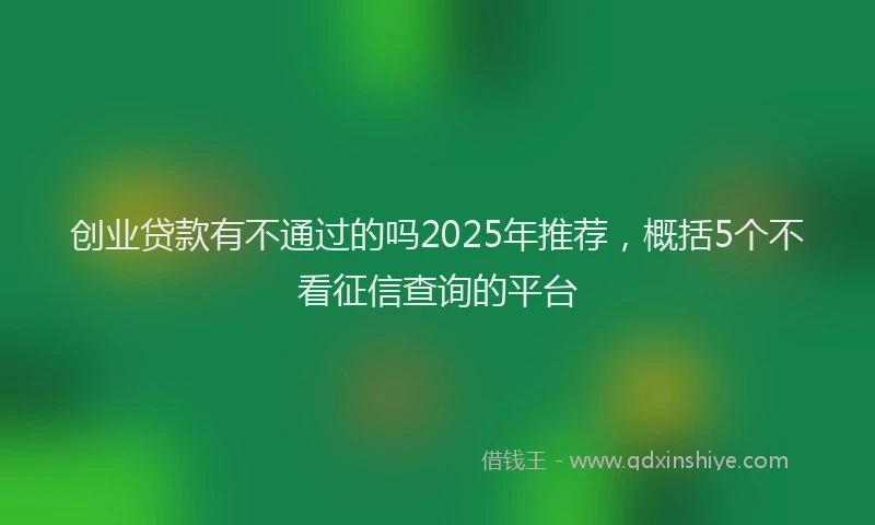 创业贷款有不通过的吗2025年推荐，概括5个不看征信查询的平台