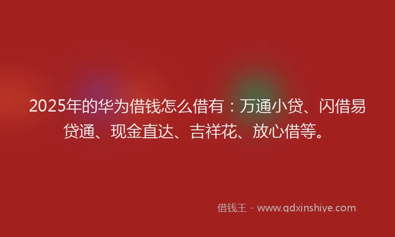 2025年的华为借钱怎么借有：万通小贷、闪借易贷通、现金直达、吉祥花、放心借等。
