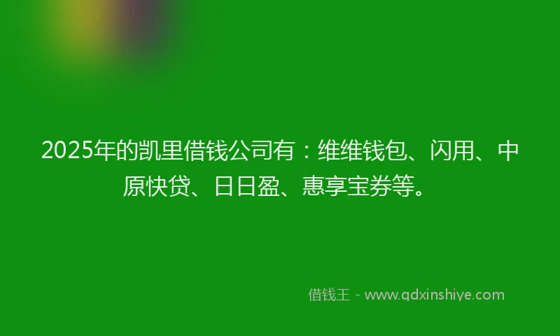 2025年的凯里借钱公司有：维维钱包、闪用、中原快贷、日日盈、惠享宝券等。