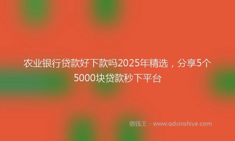 农业银行贷款好下款吗2025年精选，分享5个5000块贷款秒下平台