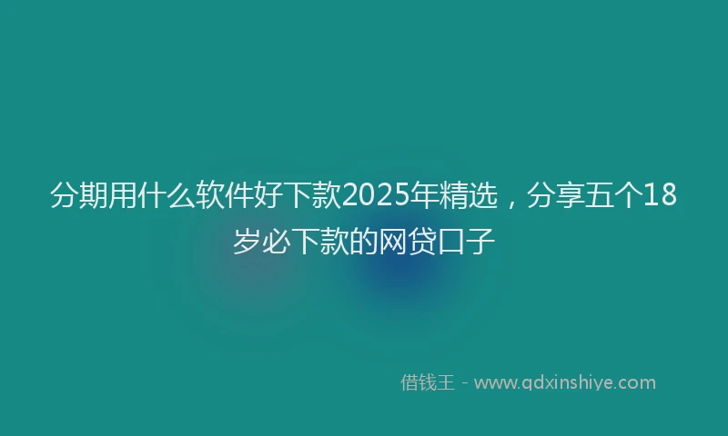 分期用什么软件好下款2025年精选，分享五个18岁必下款的网贷口子