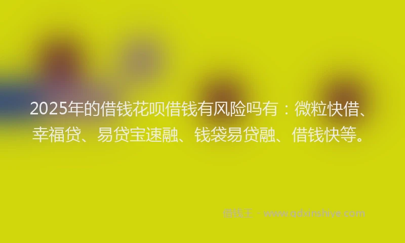 2025年的借钱花呗借钱有风险吗有：微粒快借、幸福贷、易贷宝速融、钱袋易贷融、借钱快等。