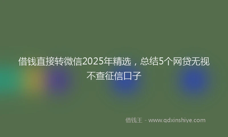 借钱直接转微信2025年精选，总结5个网贷无视不查征信口子