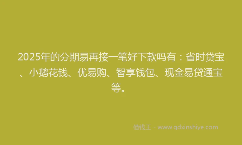 2025年的分期易再接一笔好下款吗有：省时贷宝、小鹅花钱、优易购、智享钱包、现金易贷通宝等。