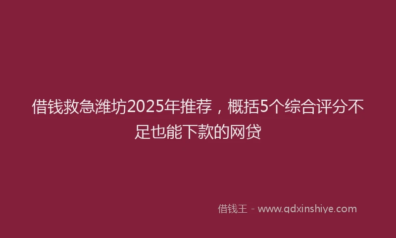 借钱救急潍坊2025年推荐，概括5个综合评分不足也能下款的网贷