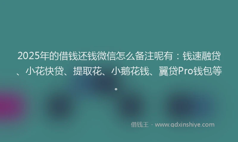 2025年的借钱还钱微信怎么备注呢有：钱速融贷、小花快贷、提取花、小鹅花钱、翼贷Pro钱包等。