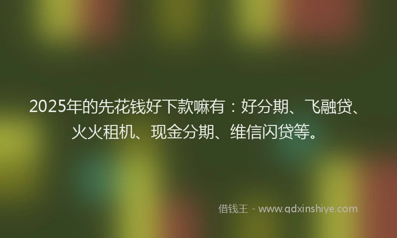 2025年的先花钱好下款嘛有：好分期、飞融贷、火火租机、现金分期、维信闪贷等。