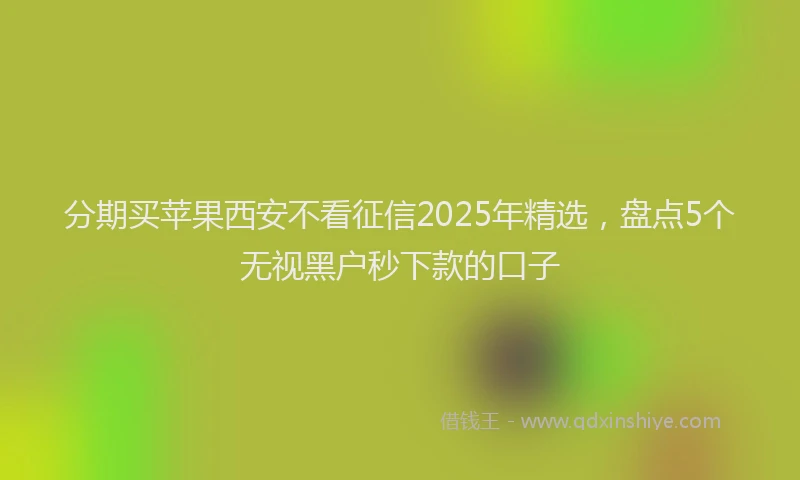 分期买苹果西安不看征信2025年精选，盘点5个无视黑户秒下款的口子