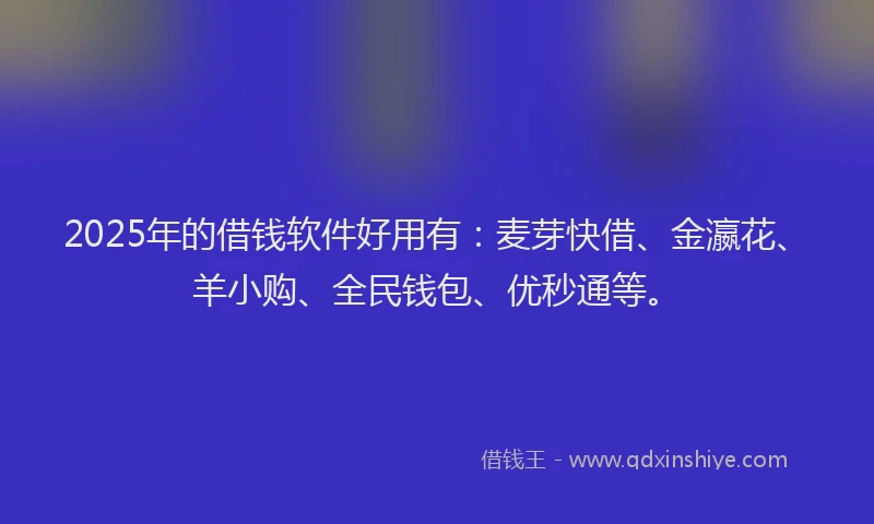 2025年的借钱软件好用有：麦芽快借、金瀛花、羊小购、全民钱包、优秒通等。