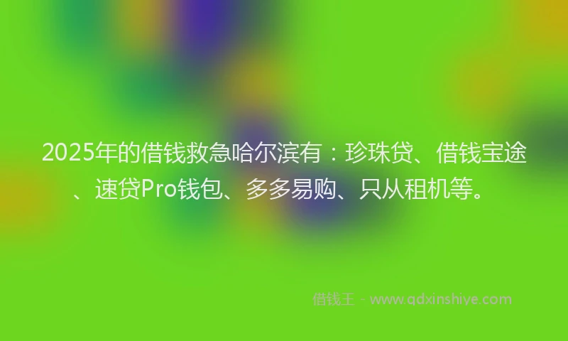 2025年的借钱救急哈尔滨有：珍珠贷、借钱宝途、速贷Pro钱包、多多易购、只从租机等。