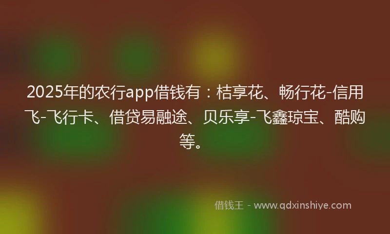 2025年的农行app借钱有：桔享花、畅行花-信用飞-飞行卡、借贷易融途、贝乐享-飞鑫琼宝、酷购等。