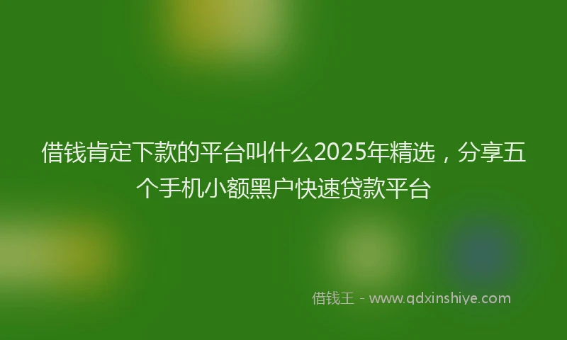 借钱肯定下款的平台叫什么2025年精选，分享五个手机小额黑户快速贷款平台