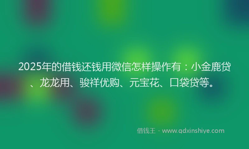 2025年的借钱还钱用微信怎样操作有：小金鹿贷、龙龙用、骏祥优购、元宝花、口袋贷等。