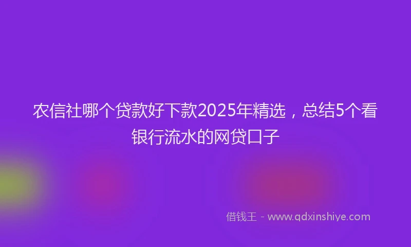 农信社哪个贷款好下款2025年精选，总结5个看银行流水的网贷口子