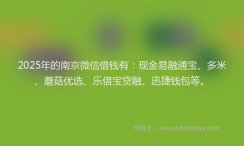 2025年的南京微信借钱有：现金易融通宝、多米、蘑菇优选、乐借宝贷融、迅捷钱包等。
