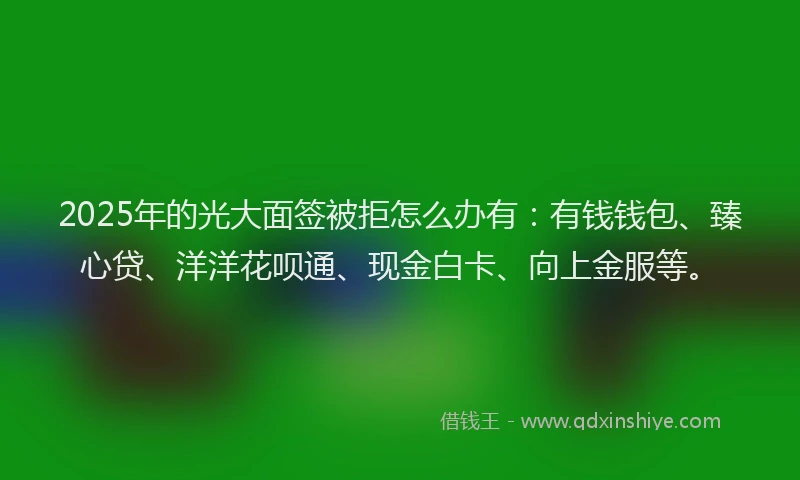 2025年的光大面签被拒怎么办有：有钱钱包、臻心贷、洋洋花呗通、现金白卡、向上金服等。