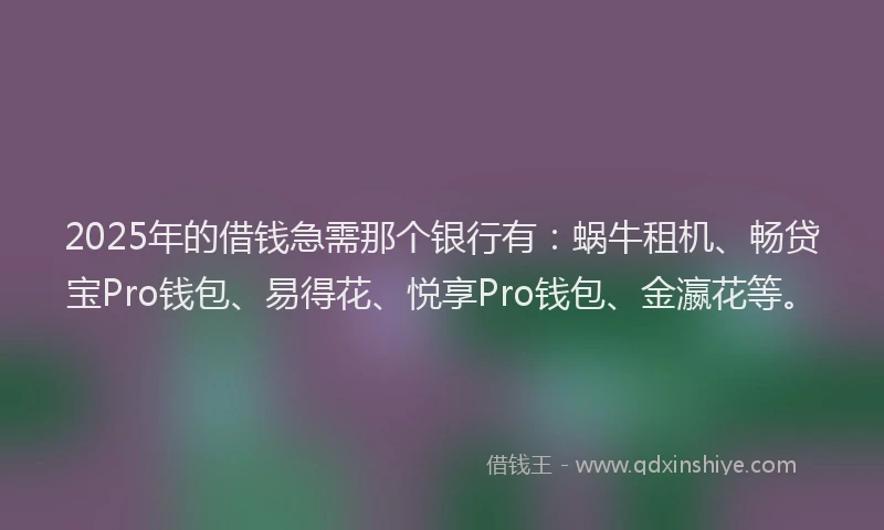 2025年的借钱急需那个银行有：蜗牛租机、畅贷宝Pro钱包、易得花、悦享Pro钱包、金瀛花等。