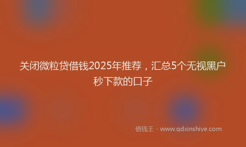 关闭微粒贷借钱2025年推荐，汇总5个无视黑户秒下款的口子