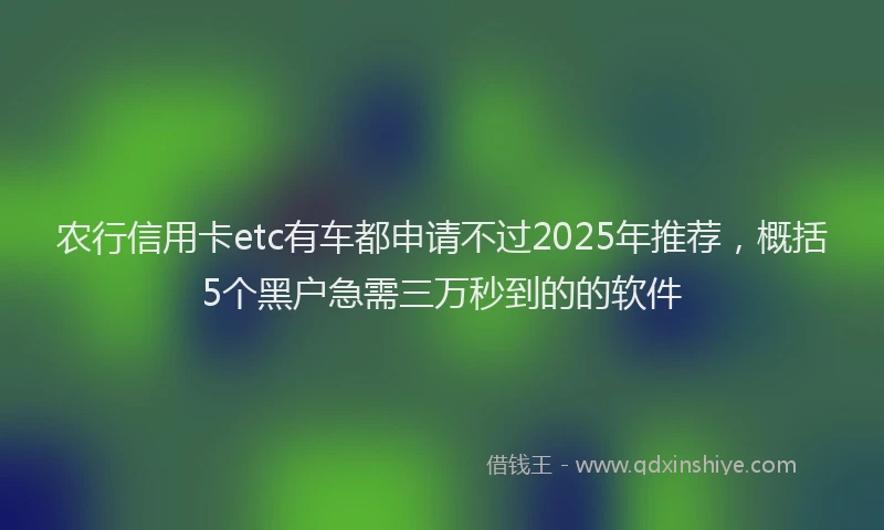 农行信用卡etc有车都申请不过2025年推荐，概括5个黑户急需三万秒到的的软件