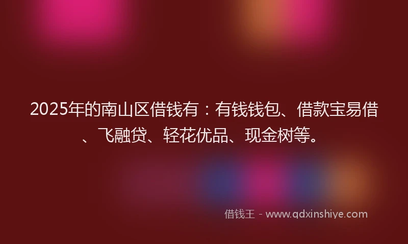 2025年的南山区借钱有：有钱钱包、借款宝易借、飞融贷、轻花优品、现金树等。