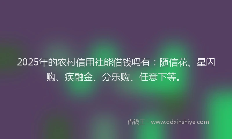 2025年的农村信用社能借钱吗有：随信花、星闪购、疾融金、分乐购、任意下等。