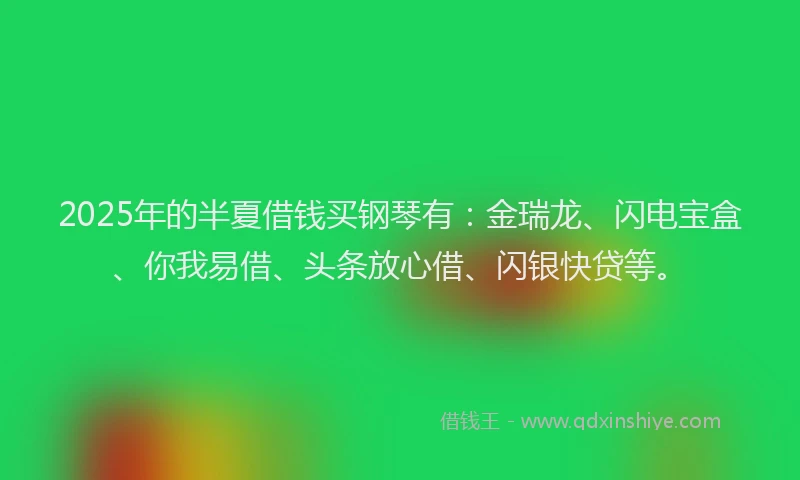 2025年的半夏借钱买钢琴有：金瑞龙、闪电宝盒、你我易借、头条放心借、闪银快贷等。