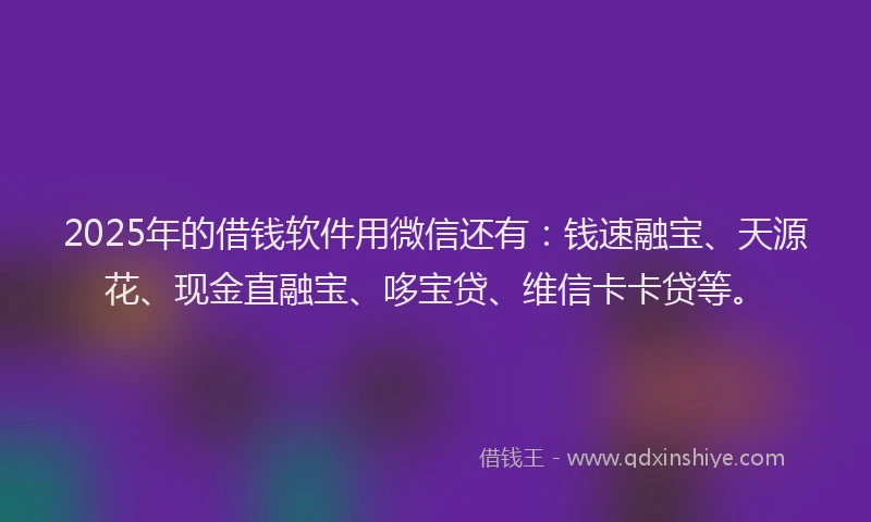 2025年的借钱软件用微信还有：钱速融宝、天源花、现金直融宝、哆宝贷、维信卡卡贷等。