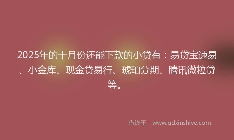 2025年的十月份还能下款的小贷有：易贷宝速易、小金库、现金贷易行、琥珀分期、腾讯微粒贷等。