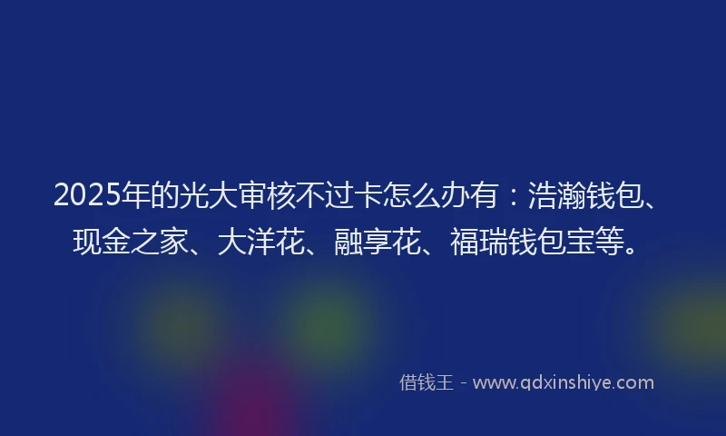 2025年的光大审核不过卡怎么办有：浩瀚钱包、现金之家、大洋花、融享花、福瑞钱包宝等。