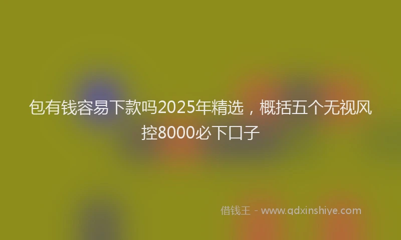 包有钱容易下款吗2025年精选，概括五个无视风控8000必下口子