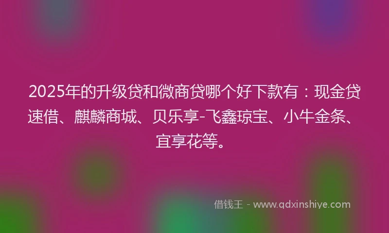 2025年的升级贷和微商贷哪个好下款有：现金贷速借、麒麟商城、贝乐享-飞鑫琼宝、小牛金条、宜享花等。
