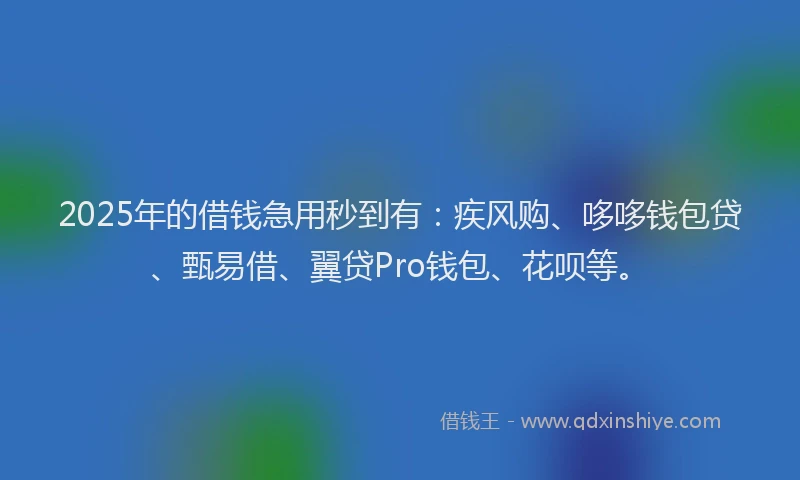 2025年的借钱急用秒到有：疾风购、哆哆钱包贷、甄易借、翼贷Pro钱包、花呗等。