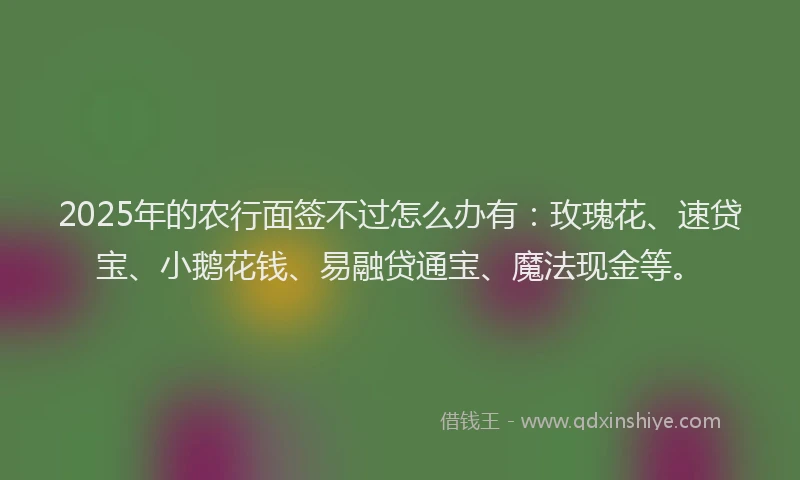 2025年的农行面签不过怎么办有：玫瑰花、速贷宝、小鹅花钱、易融贷通宝、魔法现金等。