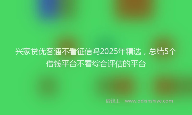 兴家贷优客通不看征信吗2025年精选，总结5个借钱平台不看综合评估的平台
