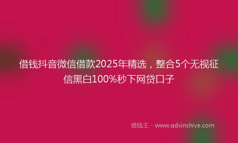 借钱抖音微信借款2025年精选，整合5个无视征信黑白100%秒下网贷口子